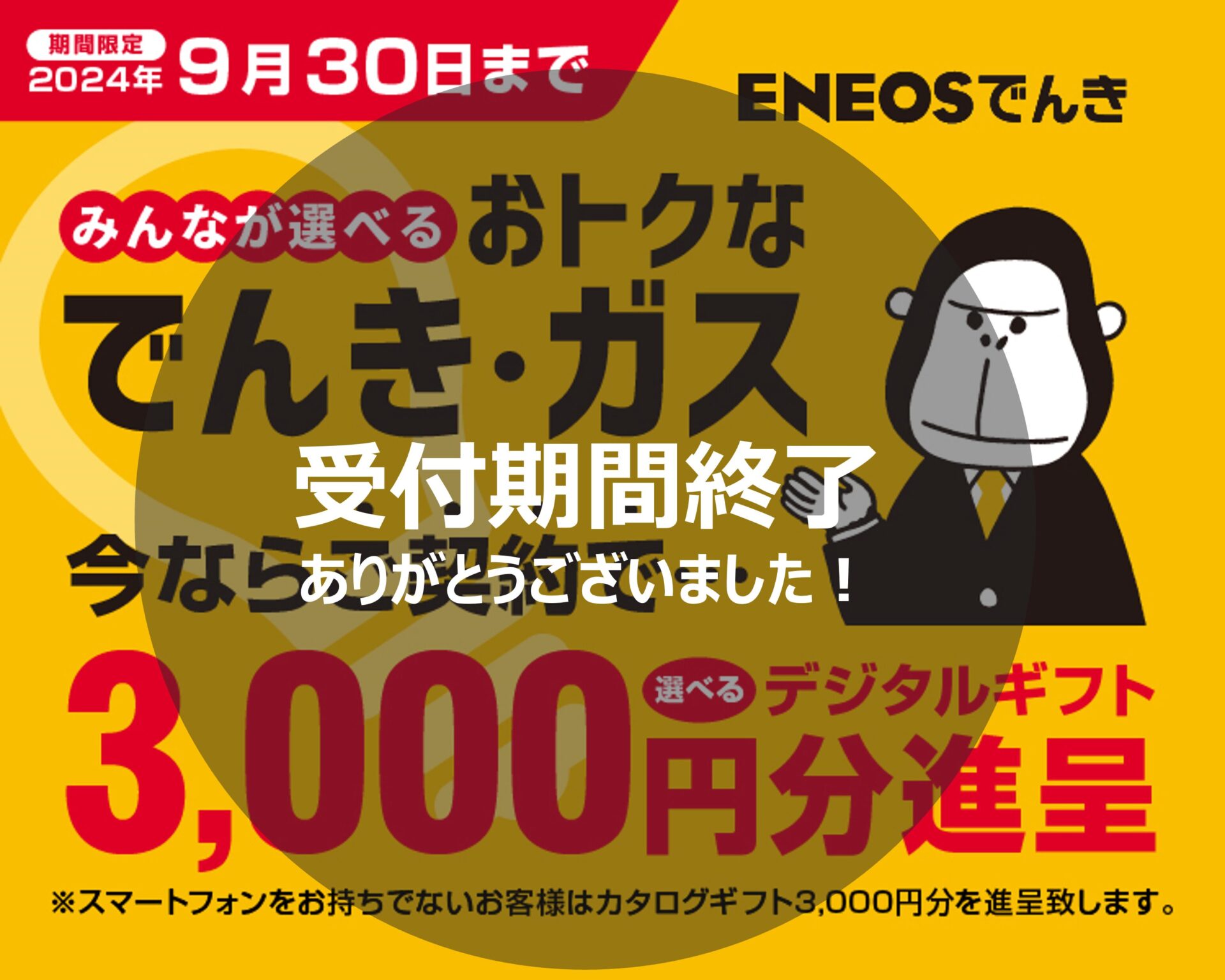 受付終了】ＥＮＥＯＳでんきご契約で3,000円デジタルクーポンプレゼント企画 - エネオスフロンティアサービス予約